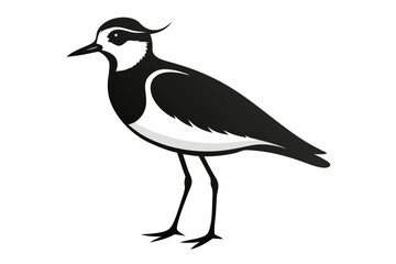 lapwing sihouette black vector