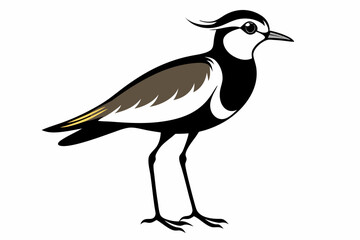 Fototapeta premium lapwing sihouette black vector