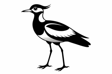 Fototapeta premium lapwing sihouette black vector