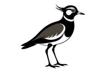 lapwing sihouette black vector