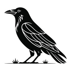 Fototapeta premium Minimalist and geometric crow silhouettes for modern logo and icon design
