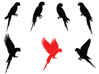Parrot Silhouette Vector Set, Flying and Perched Parrots Icon Collection