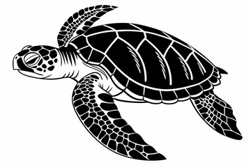 loggerhead turtle sihouette black vector