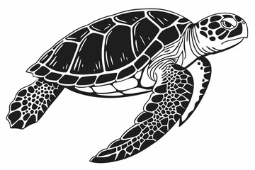 loggerhead turtle sihouette black vector