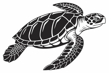 Fototapeta premium loggerhead turtle sihouette black vector