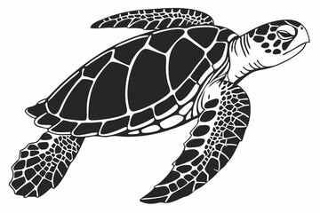 loggerhead turtle sihouette black vector