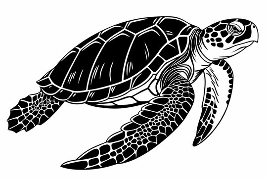 loggerhead turtle sihouette black vector