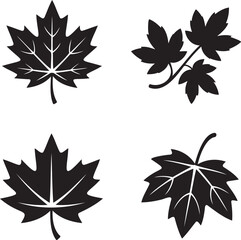 Obraz premium Set of Maple leaf silhouette vector illustration isolated On Transparent Background