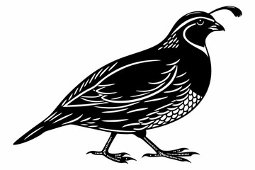 partridge silhoette black vector