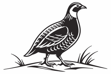 partridge silhoette black vector
