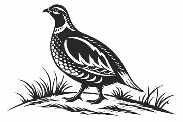 partridge silhoette black vector