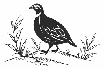 partridge silhoette black vector