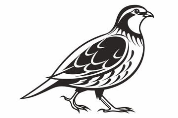 partridge silhoette black vector