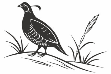 partridge silhoette black vector