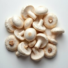 Pile of white agaricus bisporus mushrooms isolated on white background. Top-down view of fresh raw edible mushrooms. Ingredient for cooking, vegetarian diet, organic food. Detail texture.