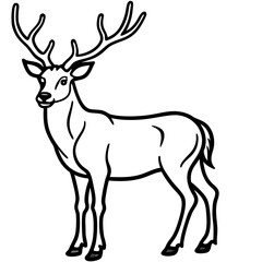 Fototapeta premium Elegant Wapiti and Vole Line Art Design