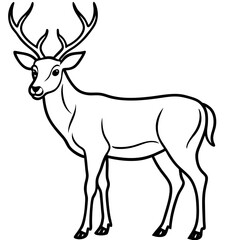 Elegant Wapiti and Vole Line Art Design
