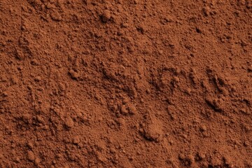 Close Up View of Cocoa Powder Texture