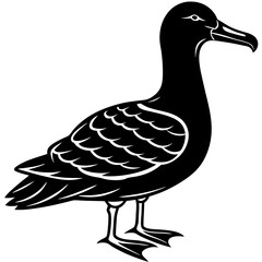 Albatross Silhouette Black Vector Design