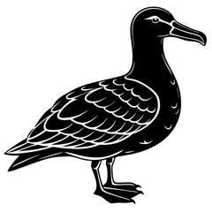 Albatross Silhouette Black Vector Design