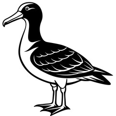 Albatross Silhouette Black Vector Design