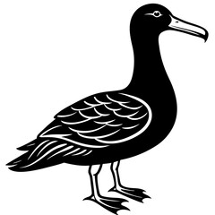 Albatross Silhouette Black Vector Design