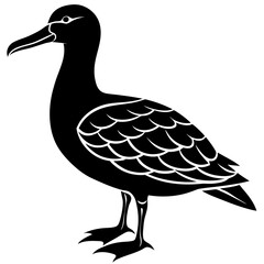 Albatross Silhouette Black Vector Design