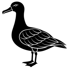 Albatross Silhouette Black Vector Design