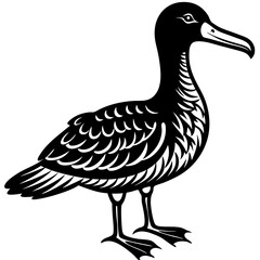 Albatross Silhouette Black Vector Design