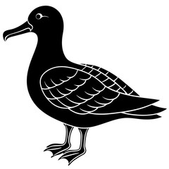 Albatross Silhouette Black Vector Design