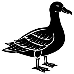 Albatross Silhouette Black Vector Design