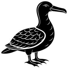 Albatross Silhouette Black Vector Design