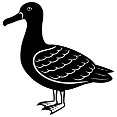 Albatross Silhouette Black Vector Design
