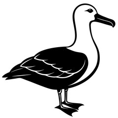 Albatross Silhouette Black Vector Design