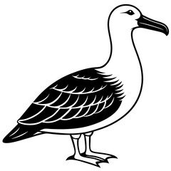 Albatross Silhouette Black Vector Design