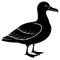 Albatross Silhouette Black Vector Design