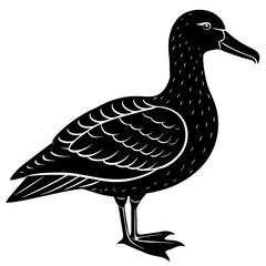Albatross Silhouette Black Vector Design