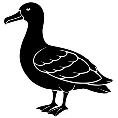 Albatross Silhouette Black Vector Design