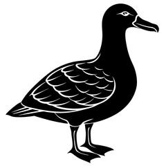 Albatross Silhouette Black Vector Design