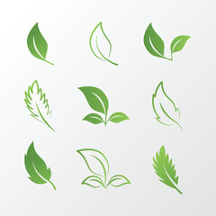 Green leaves Eco Leaf Icons Collection | Organic, Healthy, Green Symbol Set