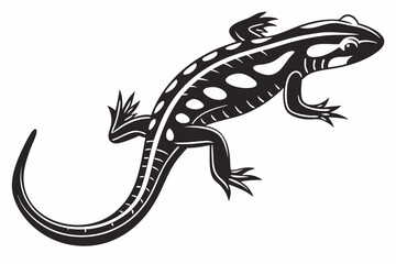 salamander sihouette black vector