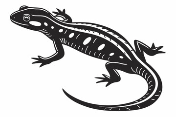 Naklejka premium salamander sihouette black vector