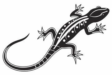 salamander sihouette black vector