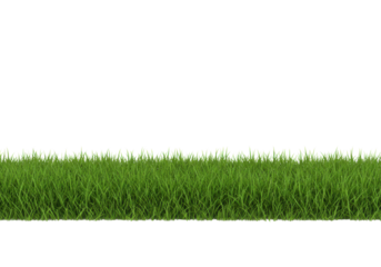 Lush, vibrant green grass with dewy individual blades forming a precise horizontal border against a pristine transparent background with ample copy space, professionally lit, shadowless. Concept of