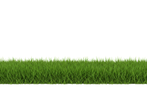 Lush, vibrant green grass with dewy individual blades forming a precise horizontal border against a pristine transparent background with ample copy space, professionally lit, shadowless. Concept of