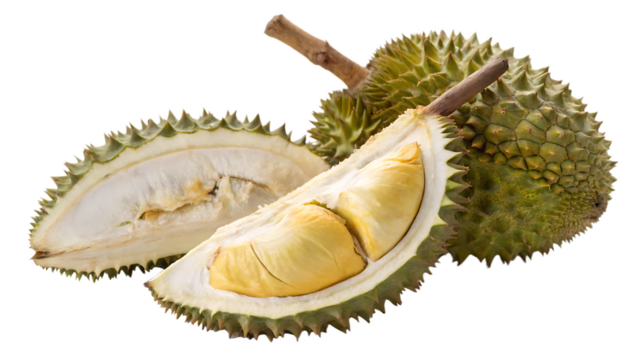 Durian rare specialty isolated on white background PNG. AI GENERATED