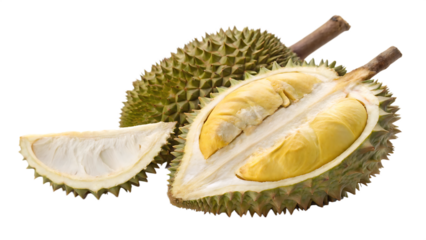 Durian rare specialty isolated on white background PNG. AI GENERATED