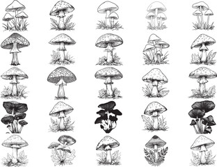 Mushroom SVG