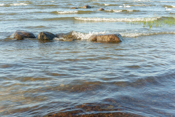 Baltic Sea Coast with Rocks