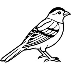 Elegant Yellowhammer Bird Line Illustration